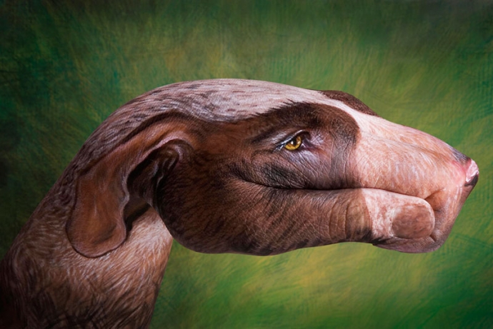 Dłonie jak zwierzęta - Guido Daniele - sztuka, body painting