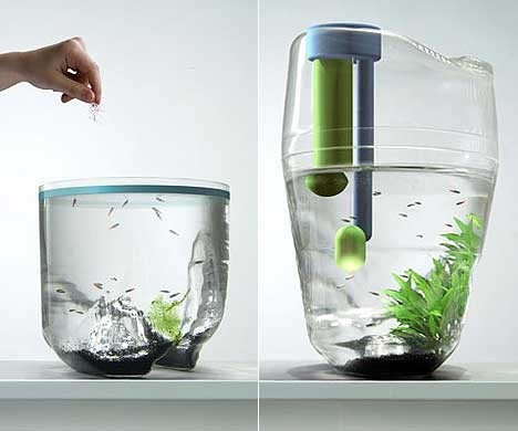 Fish pod - design